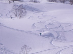 縦横無人に滑りました