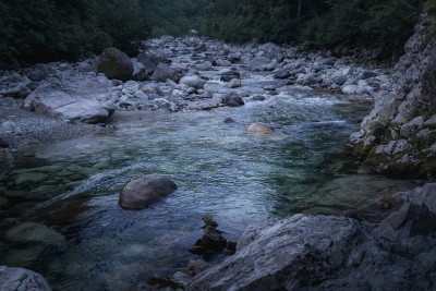 DSC08330