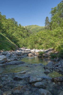 DSC08360