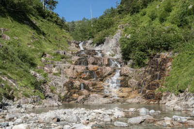 DSC08366