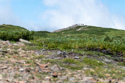 DSC08416