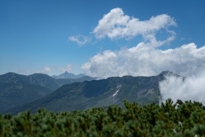 DSC08418