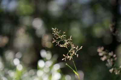 DSC09318