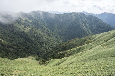 DSC09779