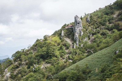 DSC09788