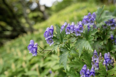 DSC09800